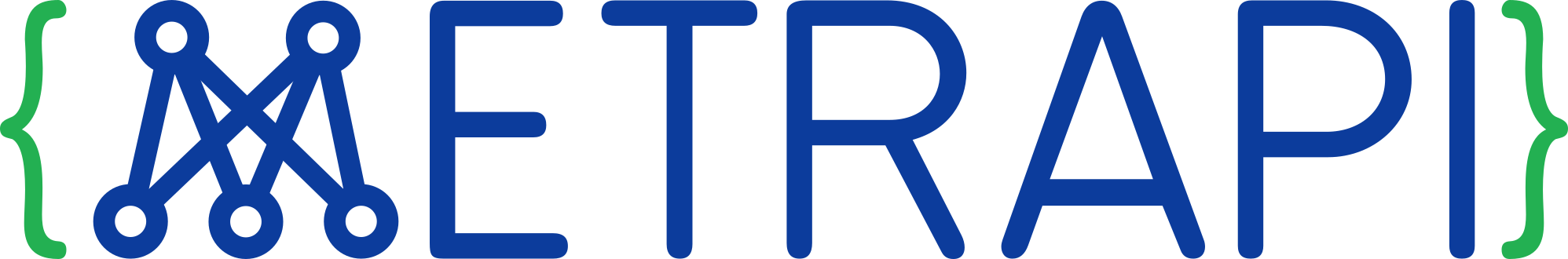 Metrapi Logo – Statistical Consultancy